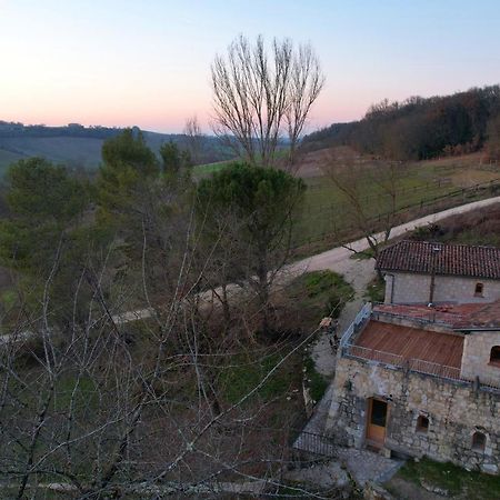 Grand Gite Les Cabanes De Fallot Pour 19 Personnes - Piscine Naturelle L'isle-Bouzon المظهر الخارجي الصورة